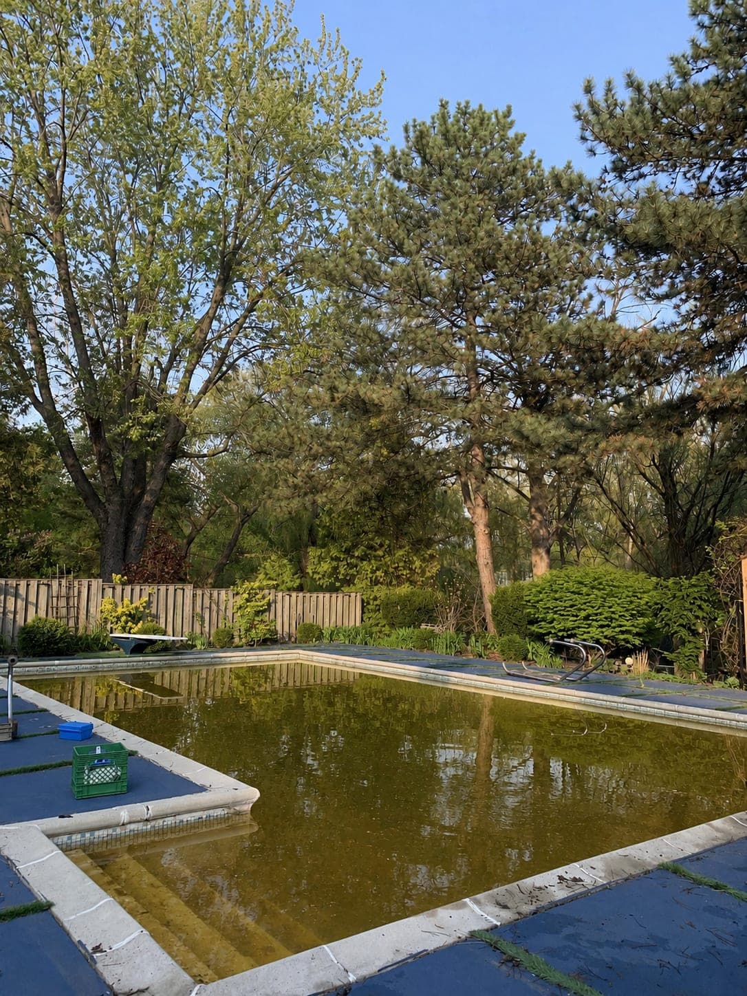Pool with heavy algae growth before Pool Perfect service