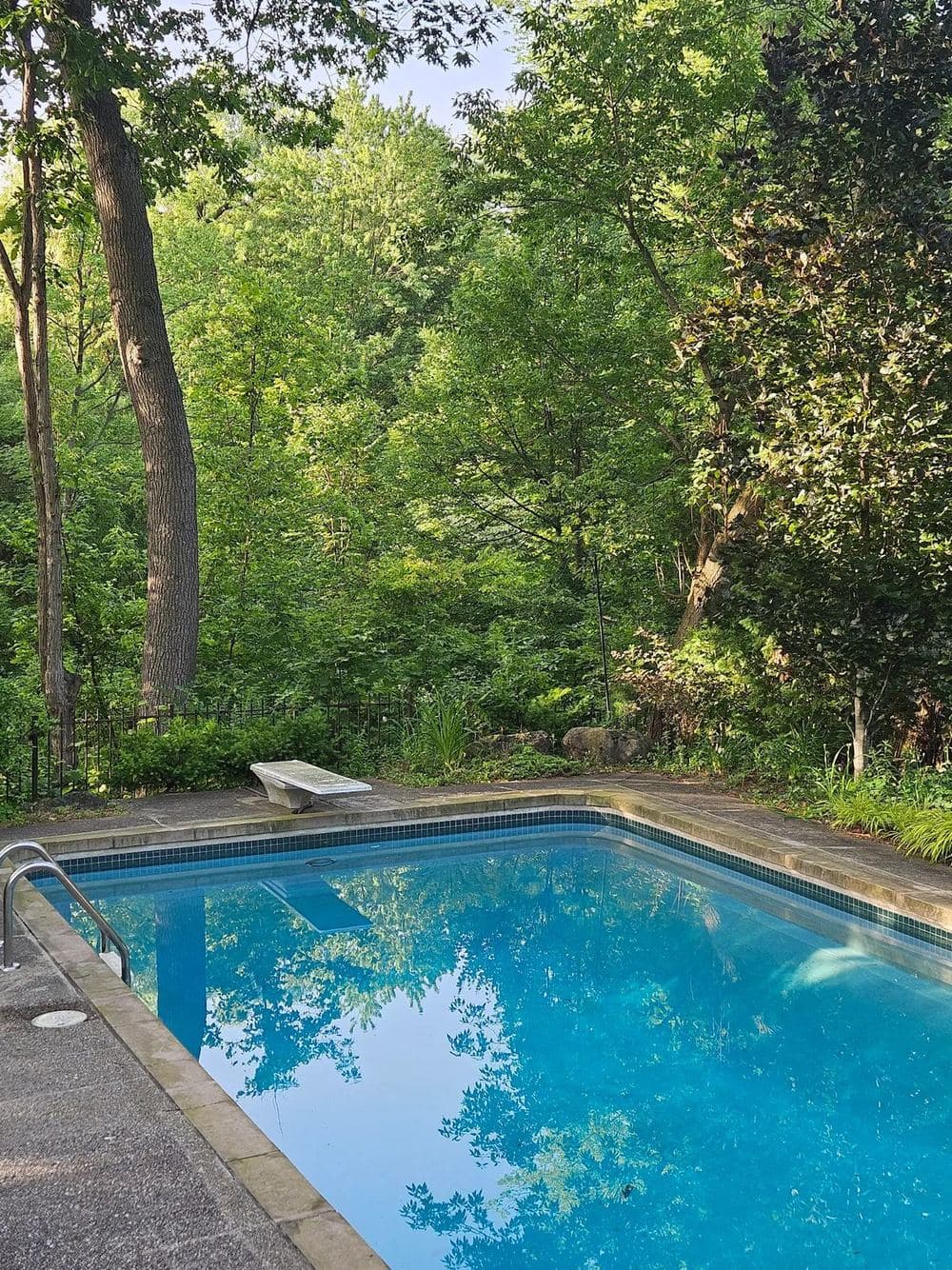 Inground pool surrounded by trees, shared by reviewer Joe Botticelli